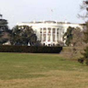 Meet your Posher, Wayne